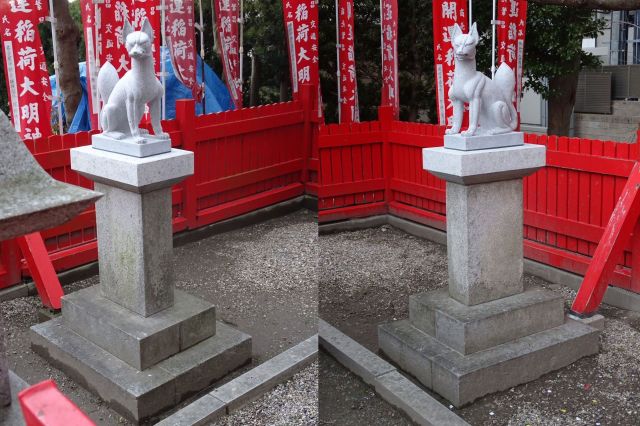 新しいキツネが載り作業終了