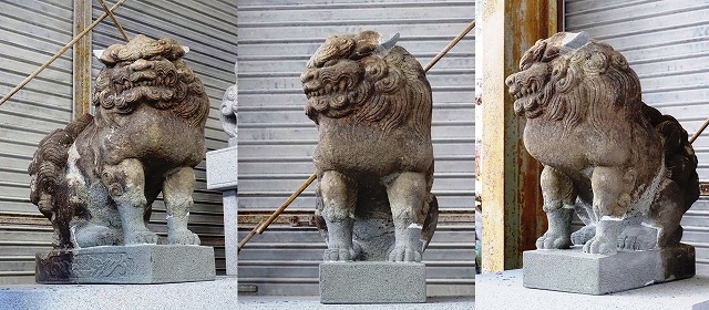 狛犬修復完成、グレーの部分が新しい材料で造作した箇所