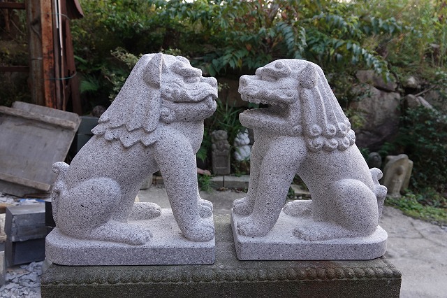越前狛犬対面設置
