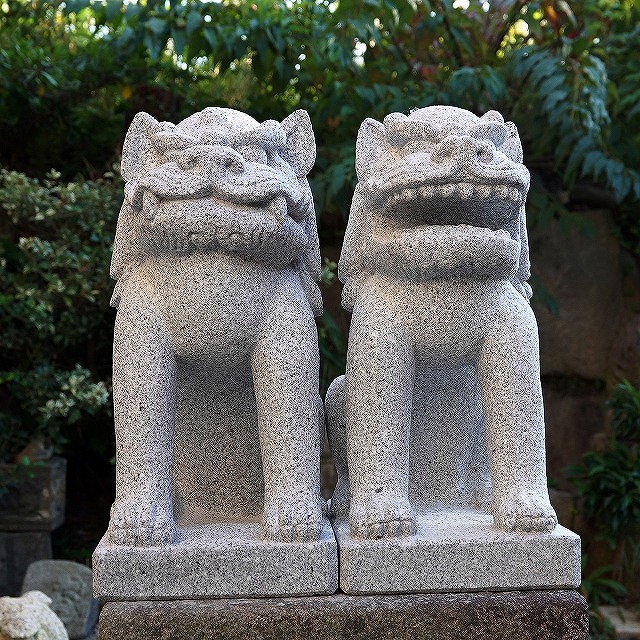 花崗岩で彫刻した越前狛犬