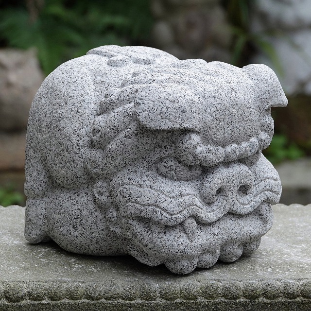 ヤンチャ顔の狛Ｑ