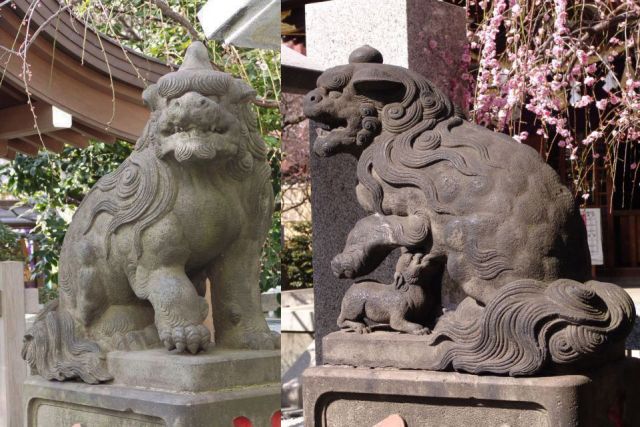 文京区　<b>牛天神北野神社</b>　文化06年(1809)　石工鈴木常三郎保教　江戸狛犬授乳タイプ流れ尾の逸品