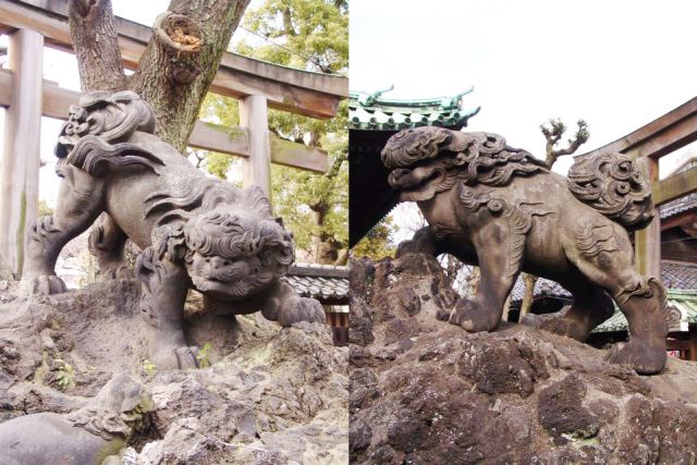 墨田区　<b>牛嶋神社</b>　文政10年02月(1827)　<span style='font-family:"AR P丸ゴシック体M"'>石工・伊那庄次郎正嗣</span> 　江戸狛犬の獅子山タイプの逸品。