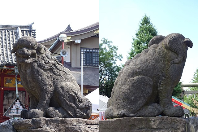 台東区　<b>浅草神社</b>　天保07年(1836)　作者不明　江戸狛犬では巨大な尾流れタイプの逸品