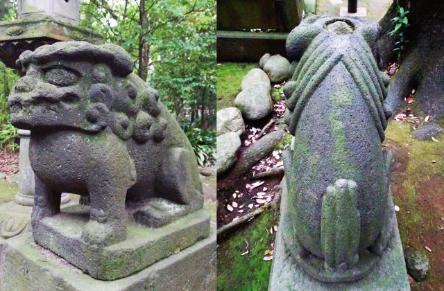 港区　<b>赤坂氷川神社</b>　阿延宝03年(1675) 吽延宝05年(1677)　建て年号が二年離れている小型の狛犬