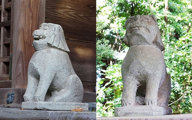 金沢市　<b>大野湊神社　境内社</b>　縣社の社号標がある神社中には多くの狛犬が
